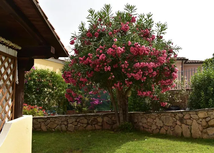 Splendida Villetta Tavolara 1