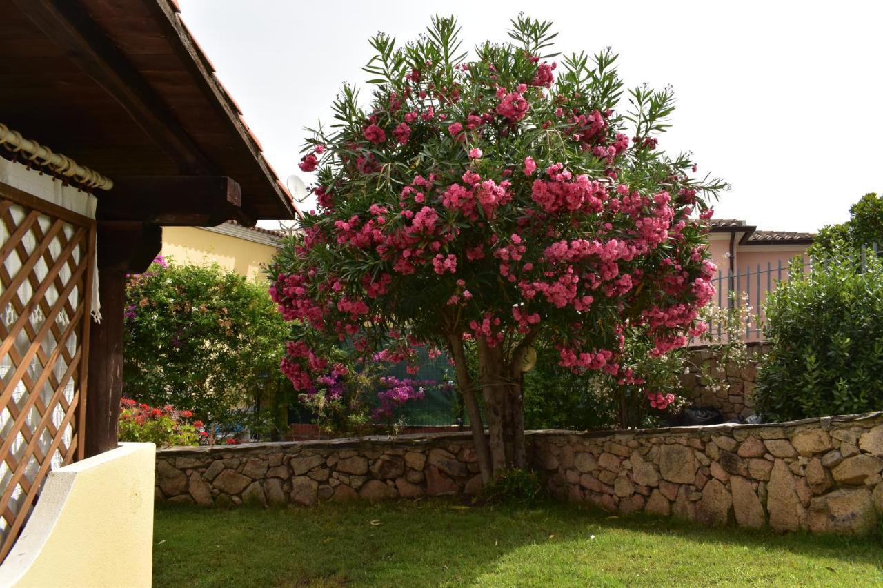 Splendida Tavolara 1 Vaccileddi